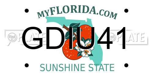 GDIU41 Florida License Plate