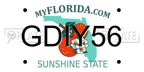 GDIY56 Florida License Plate