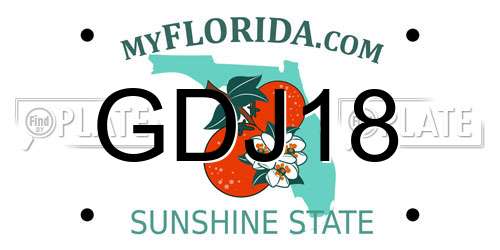GDJ18 Florida License Plate