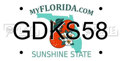 GDKS58 Florida License Plate