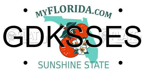 GDKSSES Florida License Plate