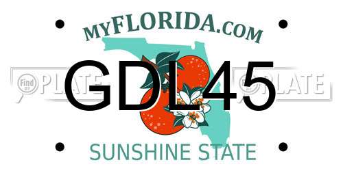 GDL45 Florida License Plate