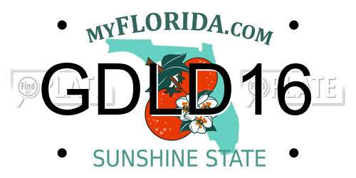 GDLD16 Florida License Plate