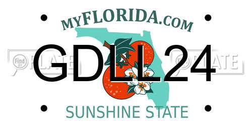 GDLL24 Florida License Plate