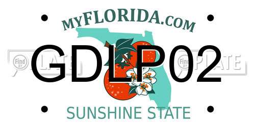 GDLP02 Florida License Plate