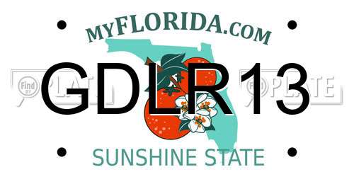 GDLR13 Florida License Plate