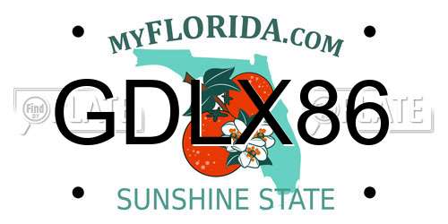 GDLX86 Florida License Plate