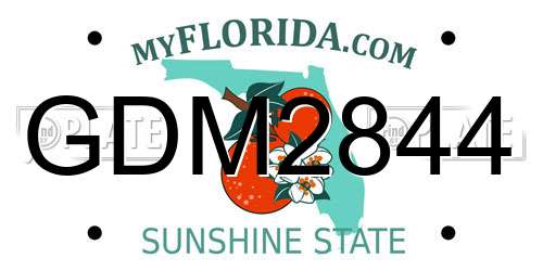 GDM2844 Florida License Plate