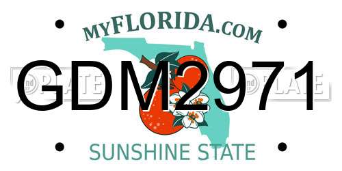 GDM2971 Florida License Plate