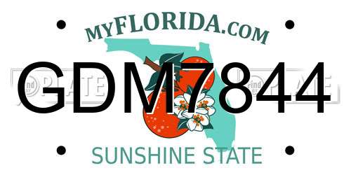 GDM7844 Florida License Plate
