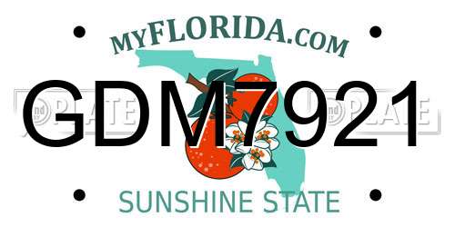 GDM7921 Florida License Plate