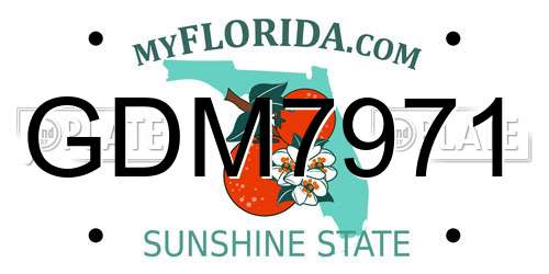 GDM7971 Florida License Plate