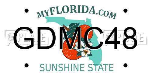 GDMC48 Florida License Plate