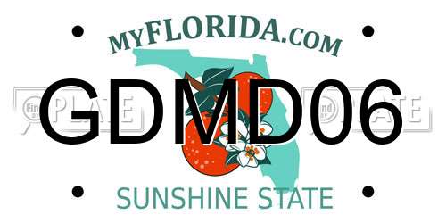 GDMD06 Florida License Plate