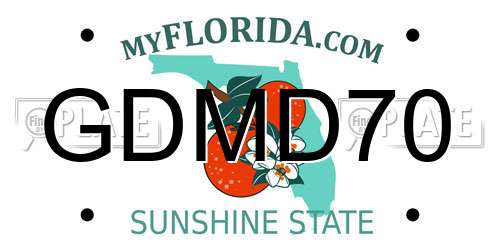 GDMD70 Florida License Plate