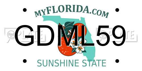 GDML59 Florida License Plate