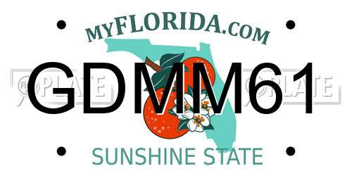GDMM61 Florida License Plate