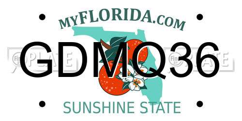 GDMQ36 Florida License Plate