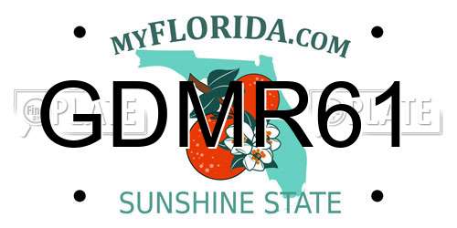 GDMR61 Florida License Plate