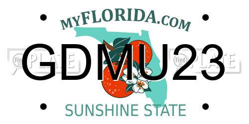 GDMU23 Florida License Plate