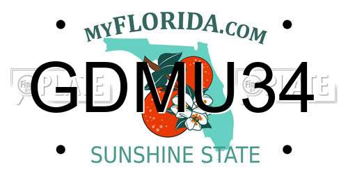GDMU34 Florida License Plate