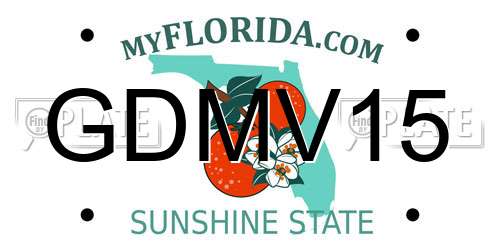 GDMV15 Florida License Plate