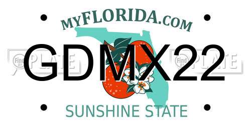 GDMX22 Florida License Plate