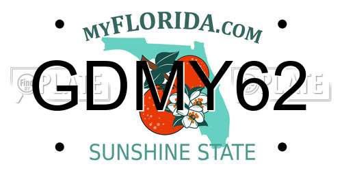GDMY62 Florida License Plate