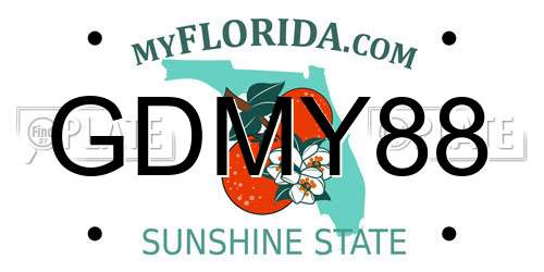 GDMY88 Florida License Plate