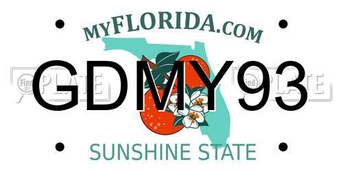 GDMY93 Florida License Plate