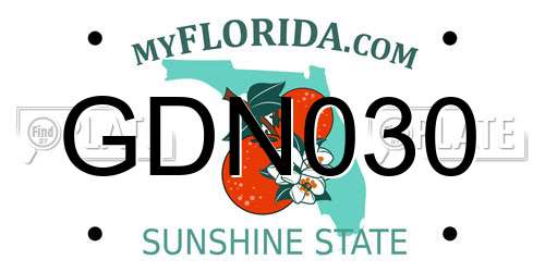 GDN030 Florida License Plate