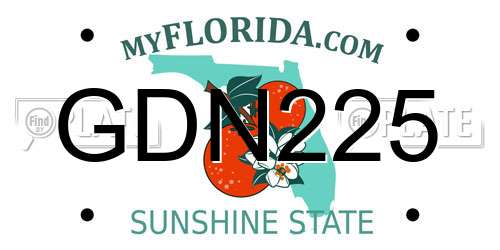 GDN225 Florida License Plate