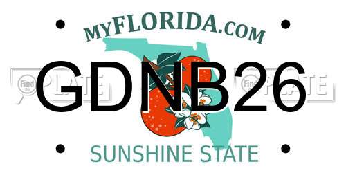 GDNB26 Florida License Plate