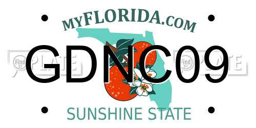 GDNC09 Florida License Plate