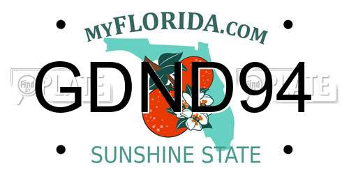 GDND94 Florida License Plate