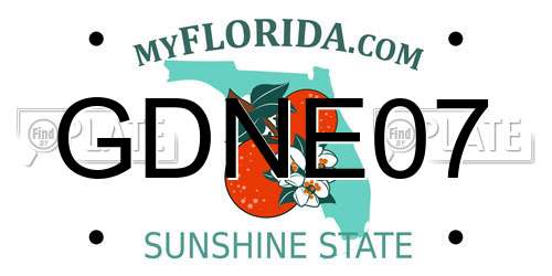 GDNE07 Florida License Plate