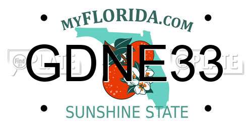 GDNE33 Florida License Plate