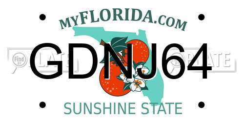 GDNJ64 Florida License Plate