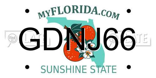 GDNJ66 Florida License Plate