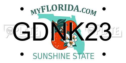GDNK23 Florida License Plate