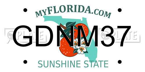 GDNM37 Florida License Plate