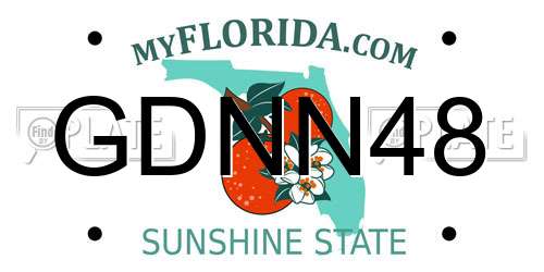 GDNN48 Florida License Plate