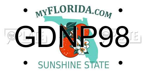 GDNP98 Florida License Plate
