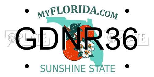 GDNR36 Florida License Plate