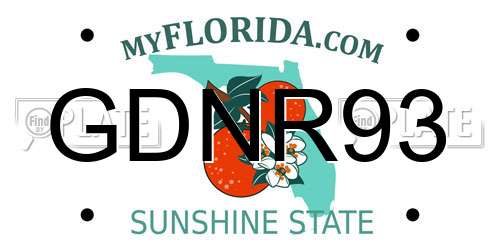 GDNR93 Florida License Plate