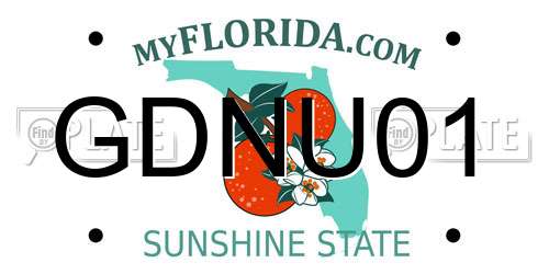 GDNU01 Florida License Plate