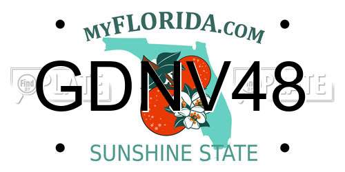 GDNV48 Florida License Plate
