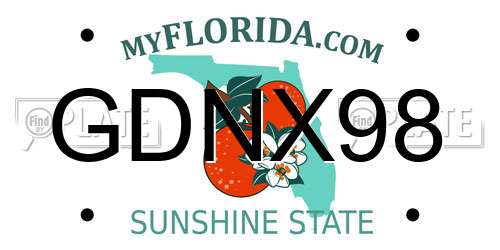 GDNX98 Florida License Plate