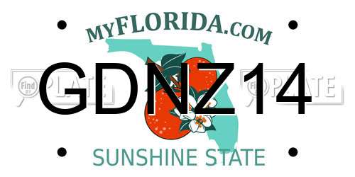 GDNZ14 Florida License Plate