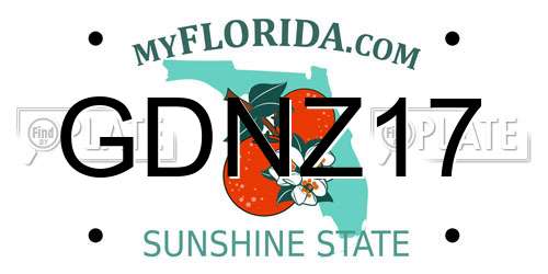 GDNZ17 Florida License Plate